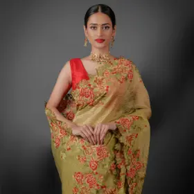 tissue silk saree by Mirra Clothing