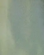 Turquoise Tissue Silk Saree with Silver Zari - Image 6