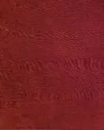 Brown Chiffon Saree with Badla work - Image 4