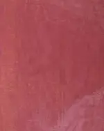 Pink Tissue Silk Saree with Cutwork Embroidery - Image 5