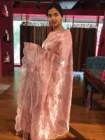 Pink Handpainted Tissue Silk Saree with Beautiful Peacock Embroidered - Image 7