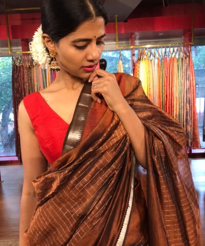 Close up view of a model showcasing Brown Mangalagiri Silk Saree with Silver Zari Checks, Suitable for Weddings & Receptions by Mirra Clothing
