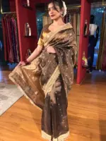 Brown Tissue Silk Saree with Zari Buttis and Gota Detailing - Image 2
