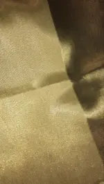 Gold Tissue Silk Saree - Image 6