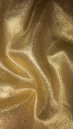 Gold Tissue Silk Saree - Image 6