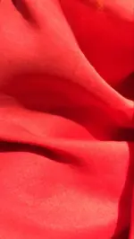 Orange Chiffon Saree - Image 7