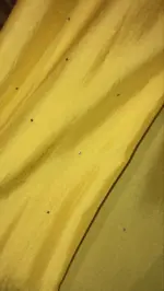 Yellow Organza Silk Saree with Badla Work - Image 8