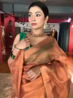 Copper Tissue Silk Saree with Self Design Border - Image 7