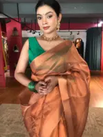 Copper Tissue Silk Saree with Self Design Border - Image 5