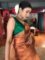 Copper Tissue Silk Saree with Self Design Border - Image 6