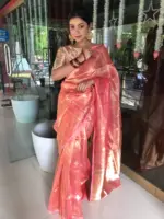 Peach Handwoven Tissue Silk Saree with Kadhwa Zari Motifs - Image 2