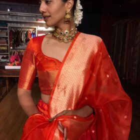 Orange Organza Dupatta with Gold Zari Buttis