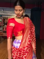 Lilac Chequered Venkatagiri Silk Lehenga Set Of 3 - Image 4