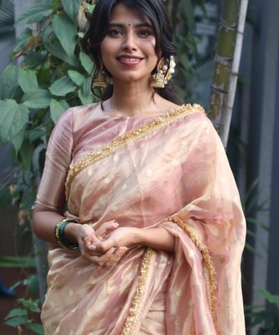 Tissue Silk Sarees
