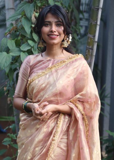 Tissue Silk Sarees
