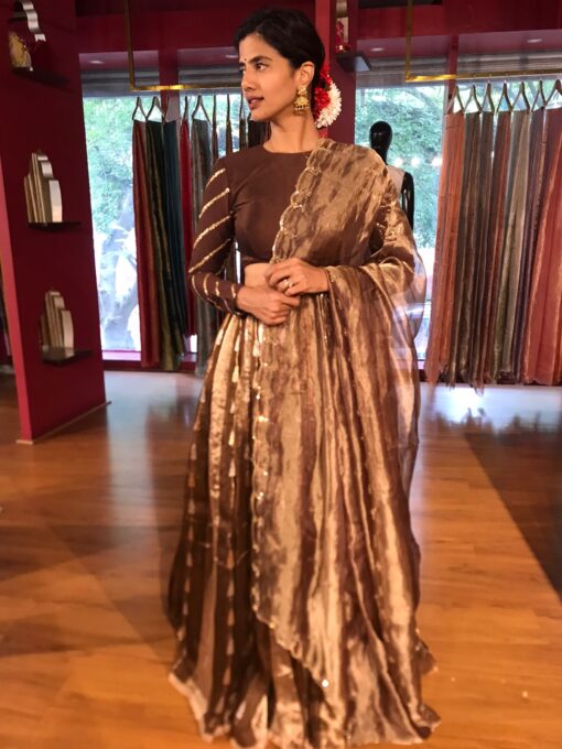 Brown Kora Tissue Lehenga Set of 3 - Image 3