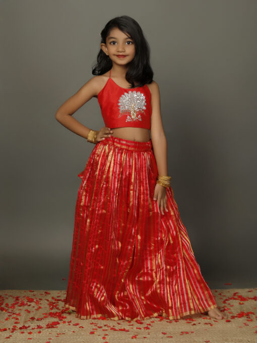 Red Silk handwoven Lehenga for Girls - Image 1