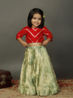 Red Sequence Top With Sea Green Tissue Silk Lehenga - Image 3