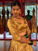 Molten Gold Tissue Silk Lehenga Set (Set of 2) - Image 4