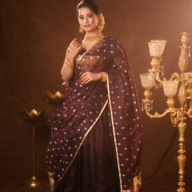 Coffee Brown Silk Lehenga with Organza Dupatta (Set of 3)