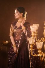 Coffee Brown Silk Lehenga with Organza Dupatta (Set of 3) - Image 6