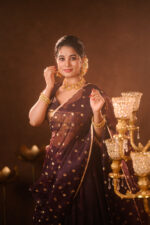 Coffee Brown Silk Lehenga with Organza Dupatta (Set of 3) - Image 5