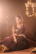 Coffee Brown Silk Lehenga with Organza Dupatta (Set of 3) - Image 8