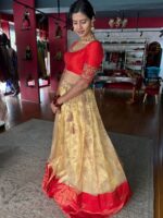 Gold Paithani Embroidered Tissue Silk Lehenga Set of 2 - Image 3