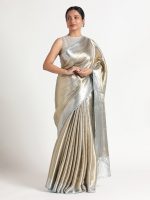 Metallic Silver Handwoven Brocade Tissue Silk Saree - Image 4