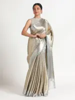 Metallic Silver Handwoven Brocade Tissue Silk Saree - Image 4