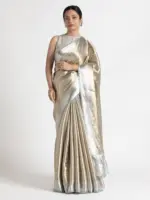 Metallic Silver Handwoven Brocade Tissue Silk Saree
