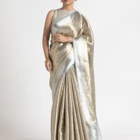 Metallic Silver Handwoven Brocade Tissue Silk Saree