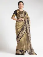 Gold Tissue Silk Saree with Beautiful Floral Applique Work - Image 2
