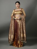 Molten Gold Tissue Silk Lehenga  (Set of 3) - Image 10