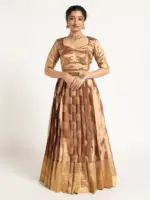 Brown Banarasi Silk Lehenga ( Set of 2 )