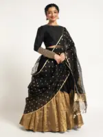 Black Tissue Silk Lehenga ( Set of 3 ) - Image 5
