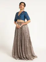 Silver Embroidered Tissue Silk Lehenga ( Set of 2) - Image 2