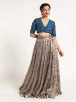 Silver Embroidered Tissue Silk Lehenga ( Set of 2) - Image 4