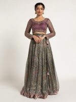 Blue Printed Tissue Silk Lehenga Set of 2