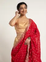 Gold Tissue Silk Lehenga Set of 3 - Image 2