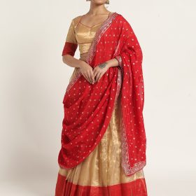 Gold Tissue Silk Lehenga Set of 3