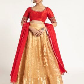 Champagne Gold Tissue Silk Lehenga Set of 3