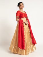 Champagne Gold Tissue Silk Lehenga Set of 3 - Image 3