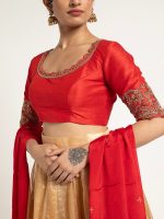 Champagne Gold Tissue Silk Lehenga Set of 3 - Image 4