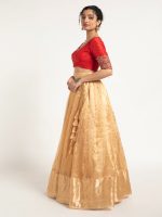 Champagne Gold Tissue Silk Lehenga Set of 2 - Image 3