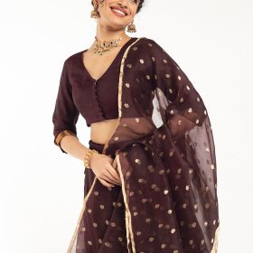 Coffee Brown Organza Silk Dupatta