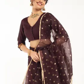 Coffee Brown Organza Silk Dupatta