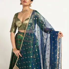 Peacock Dual Tone Tissue Silk Dupatta