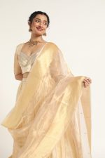 Ivory Tissue Silk Dupatta with Zari Border Detailing